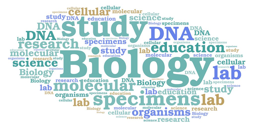 Subjects ENGLISH MARTYRS' CATHOLIC SCHOOL SCIENCE DEPARTMENT WEBSITE