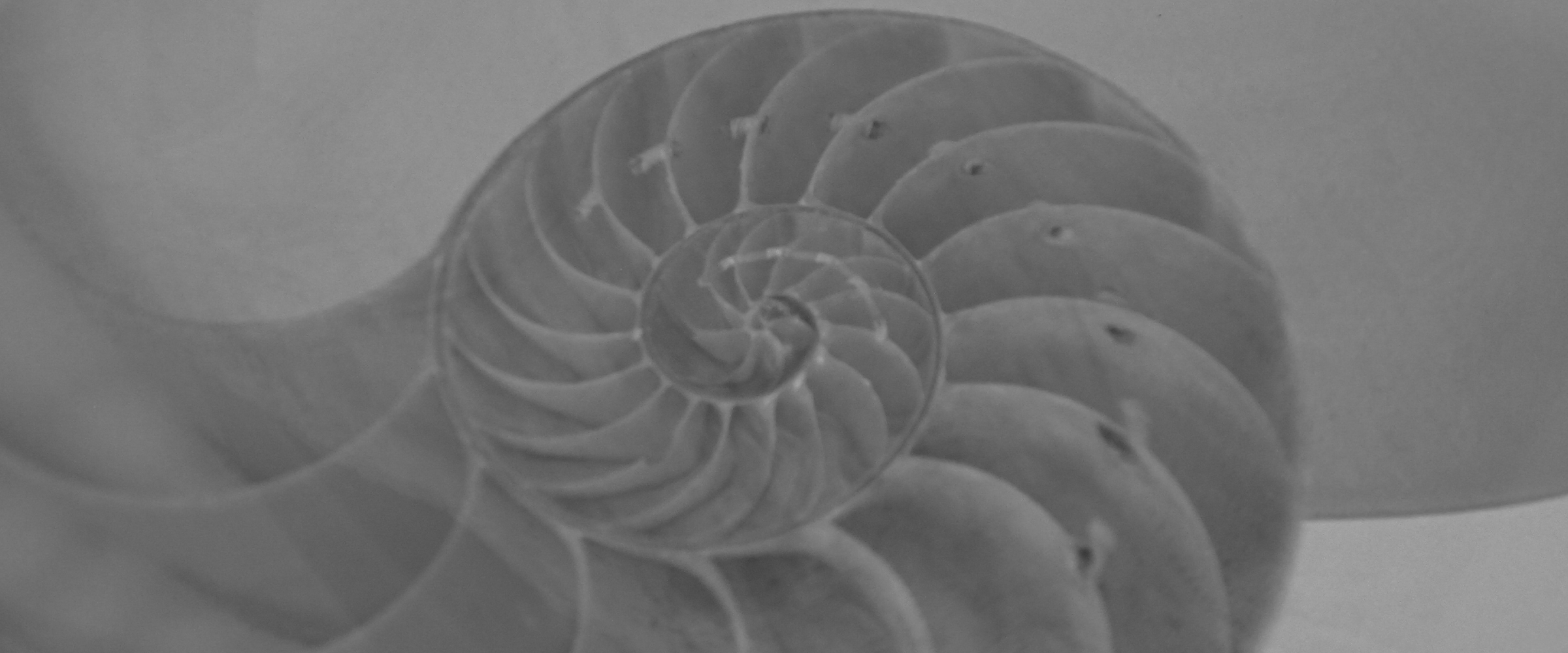 Empowered Through EMDR PsychoTherapy LENS Neurofeedback in CA