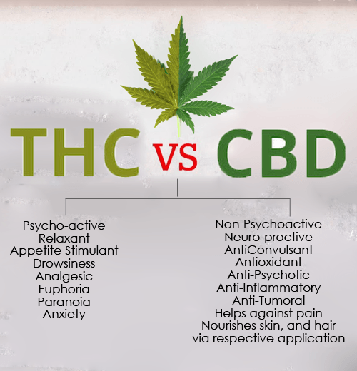 Difference between CBD and THC Why CBD is great for your hair!