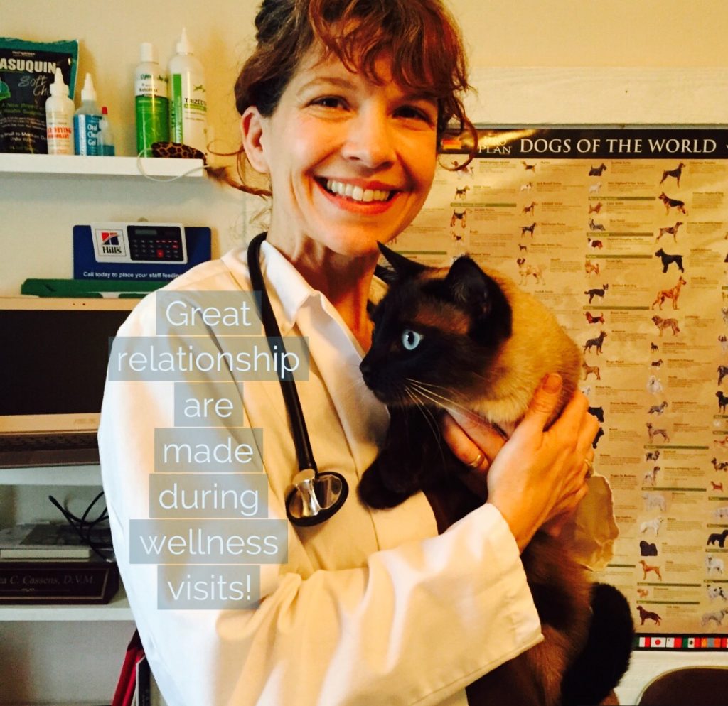 Veterinary Services in Round Rock, TX Emerald Veterinary Service