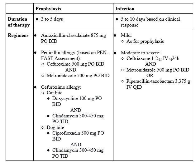 Cat and Dog Bites Emergency Care BC
