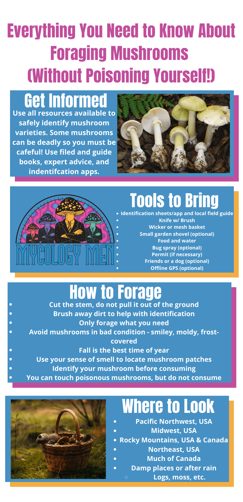 A Foraging Guide For Beginners