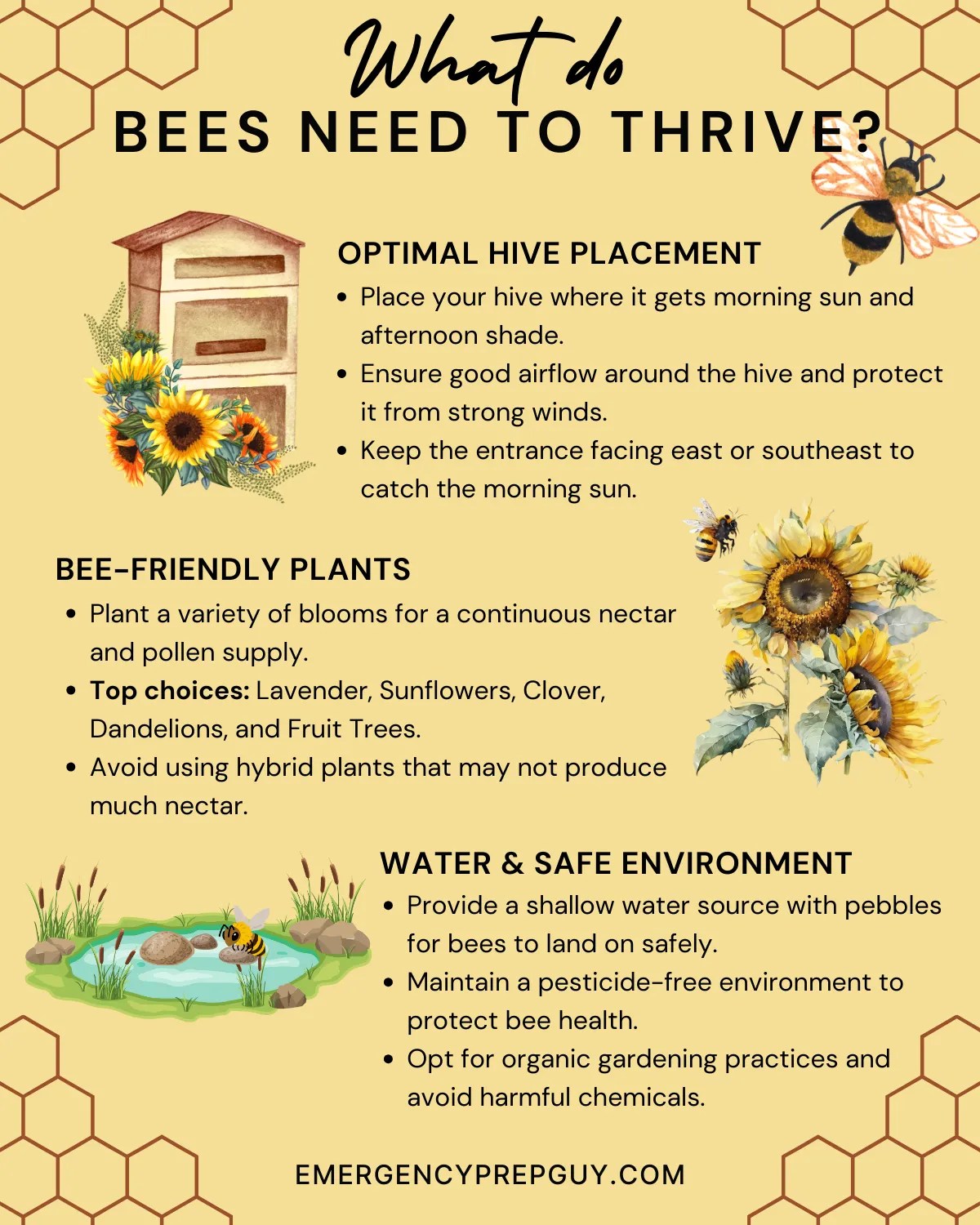 How to Raise Bees for Honey & Reap Sweet Rewards in Your Garden(03)