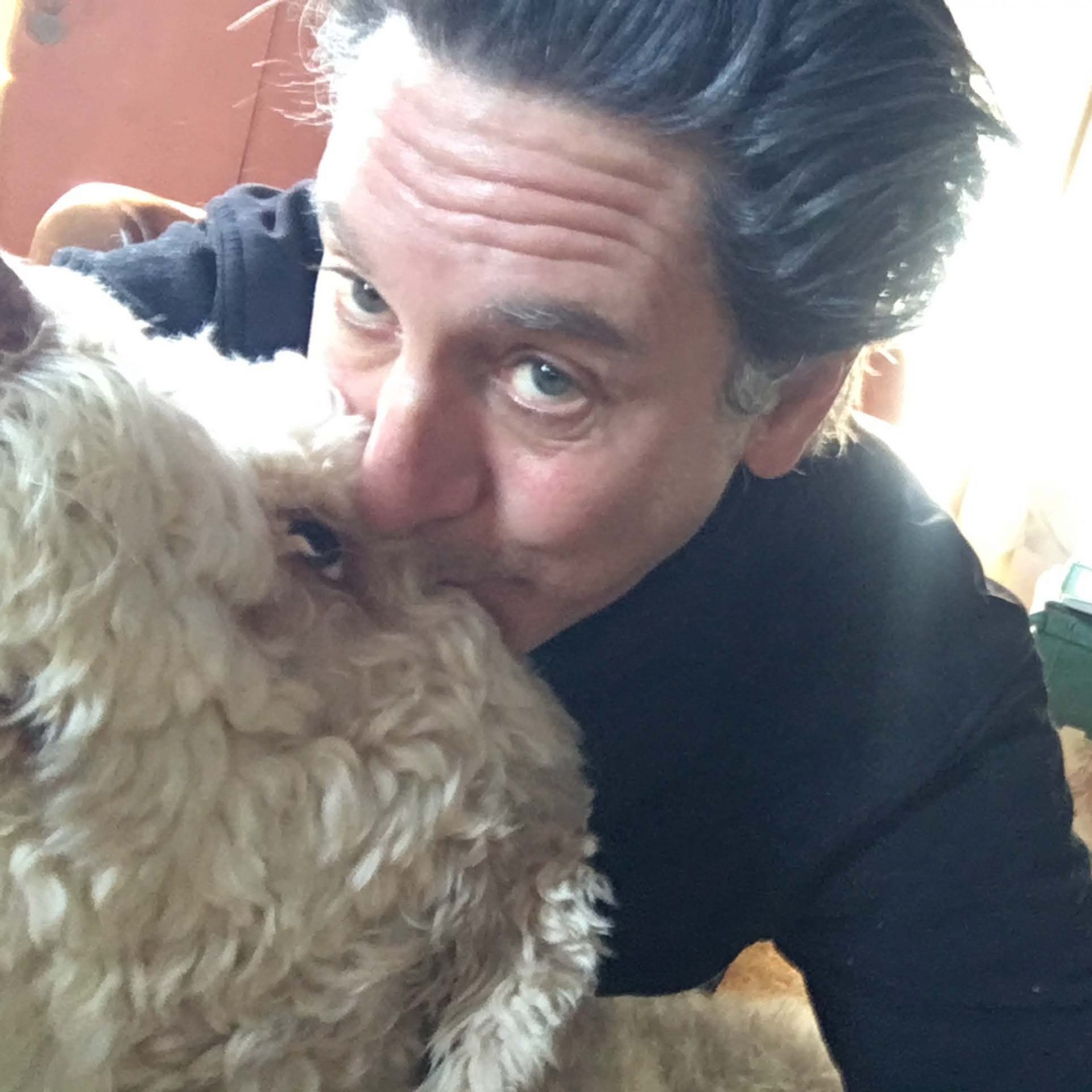 Animal Health Care Center at Veterinary Village and Westchester NY