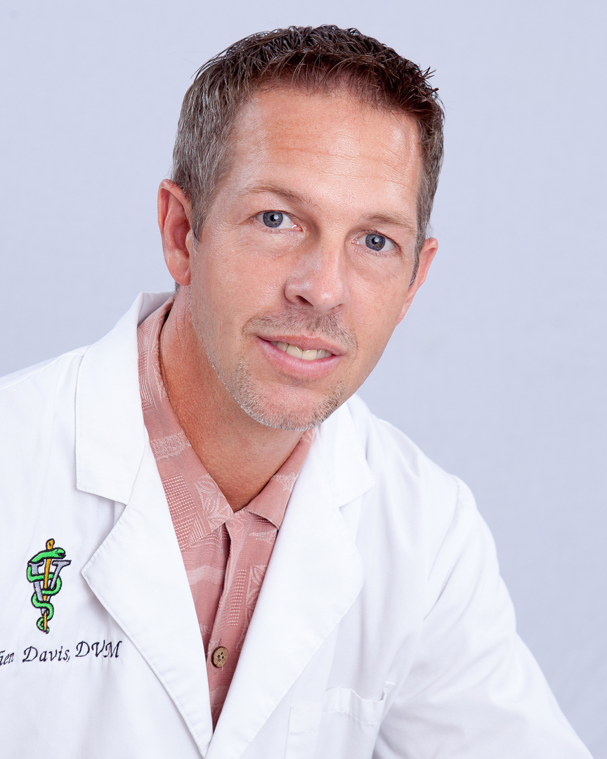 Our Veterinary Team Emergency Veterinary Clinic Destin