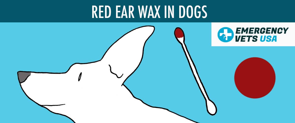 Dog Ear Wax Color Chart What Does Each Color Mean?