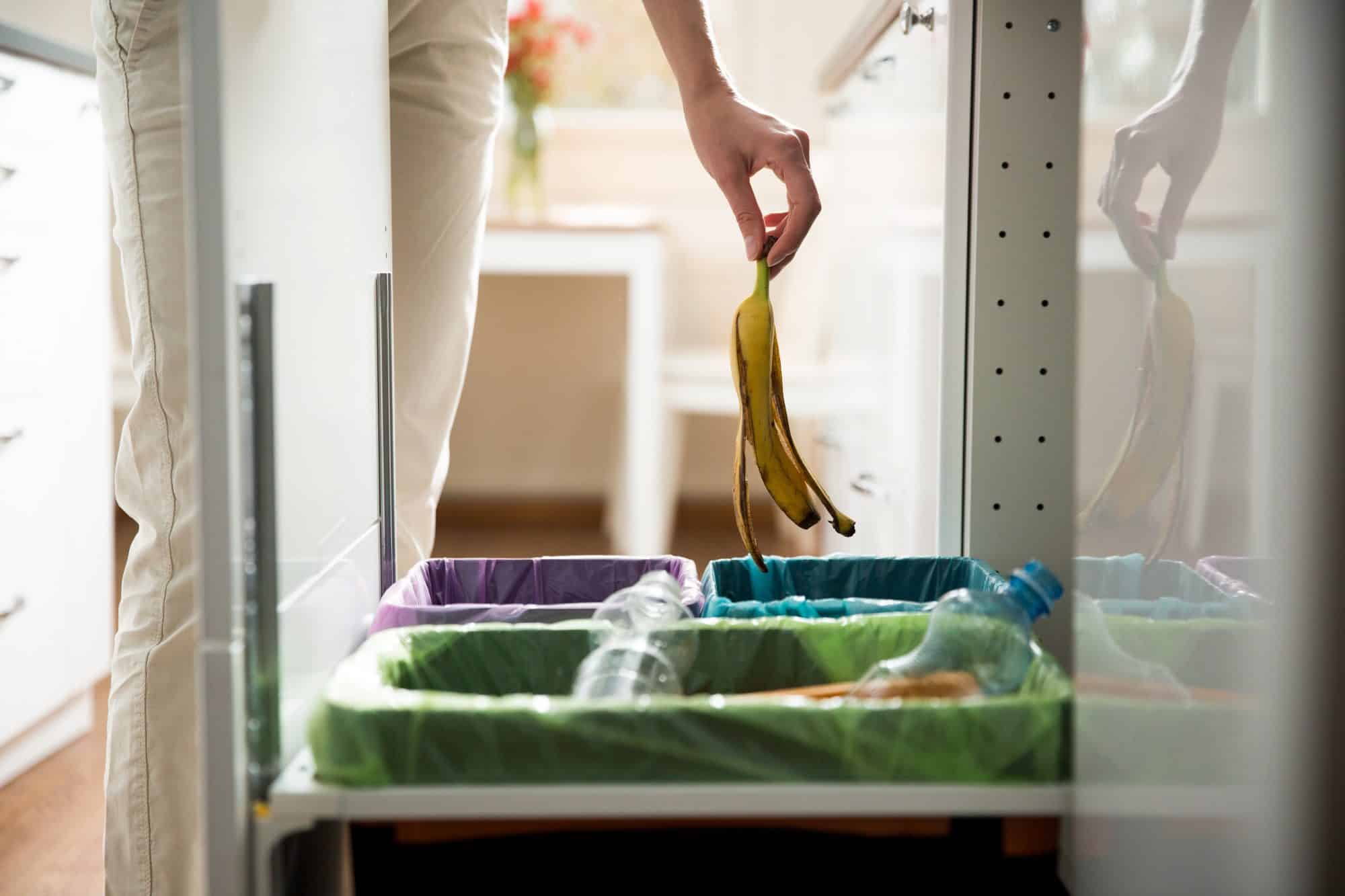 The State of California Introduces New Regulations on Food Waste Bins