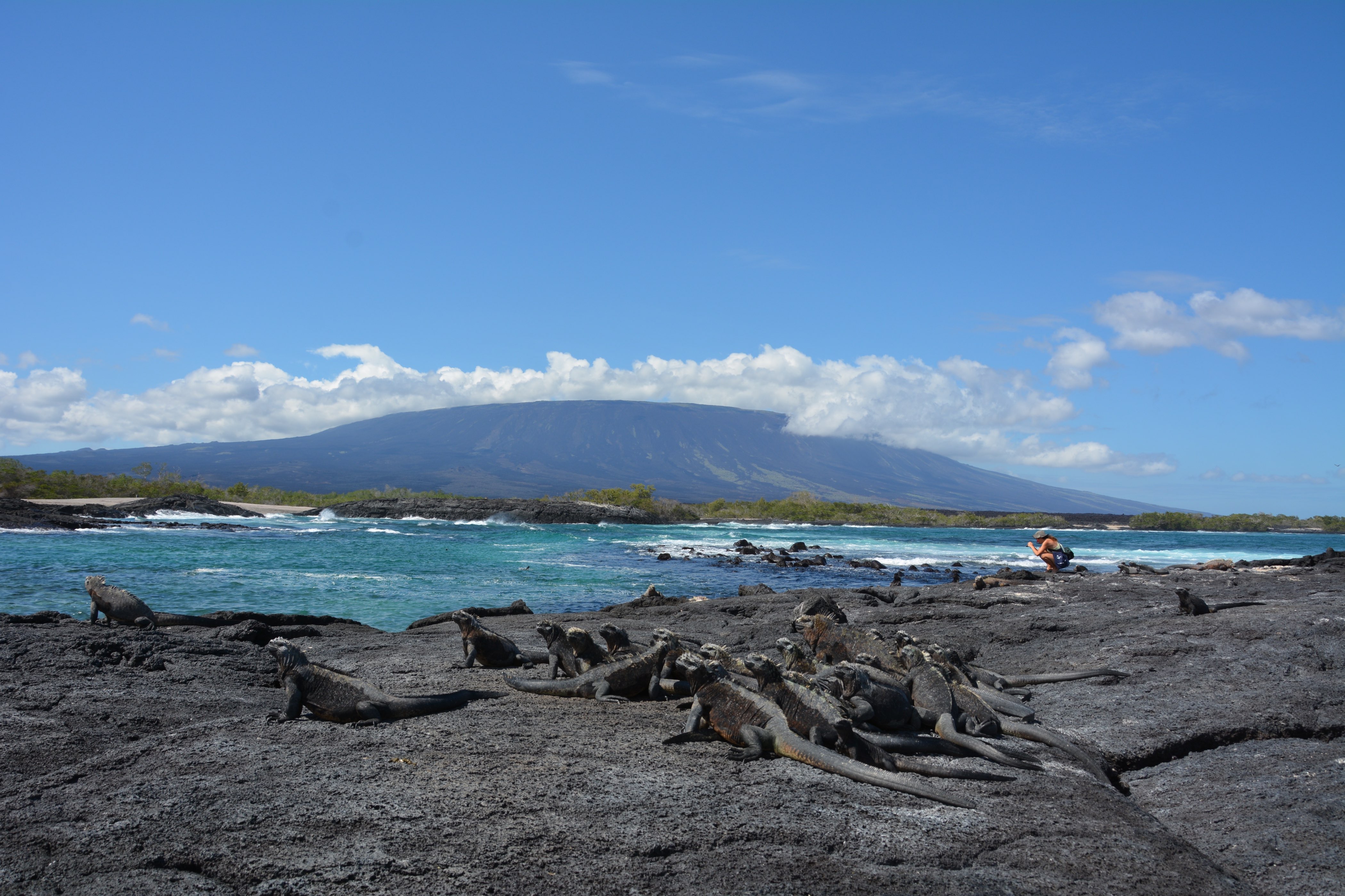 Top Ten Reasons Why Enchanted Expeditions is One of the Best Travel