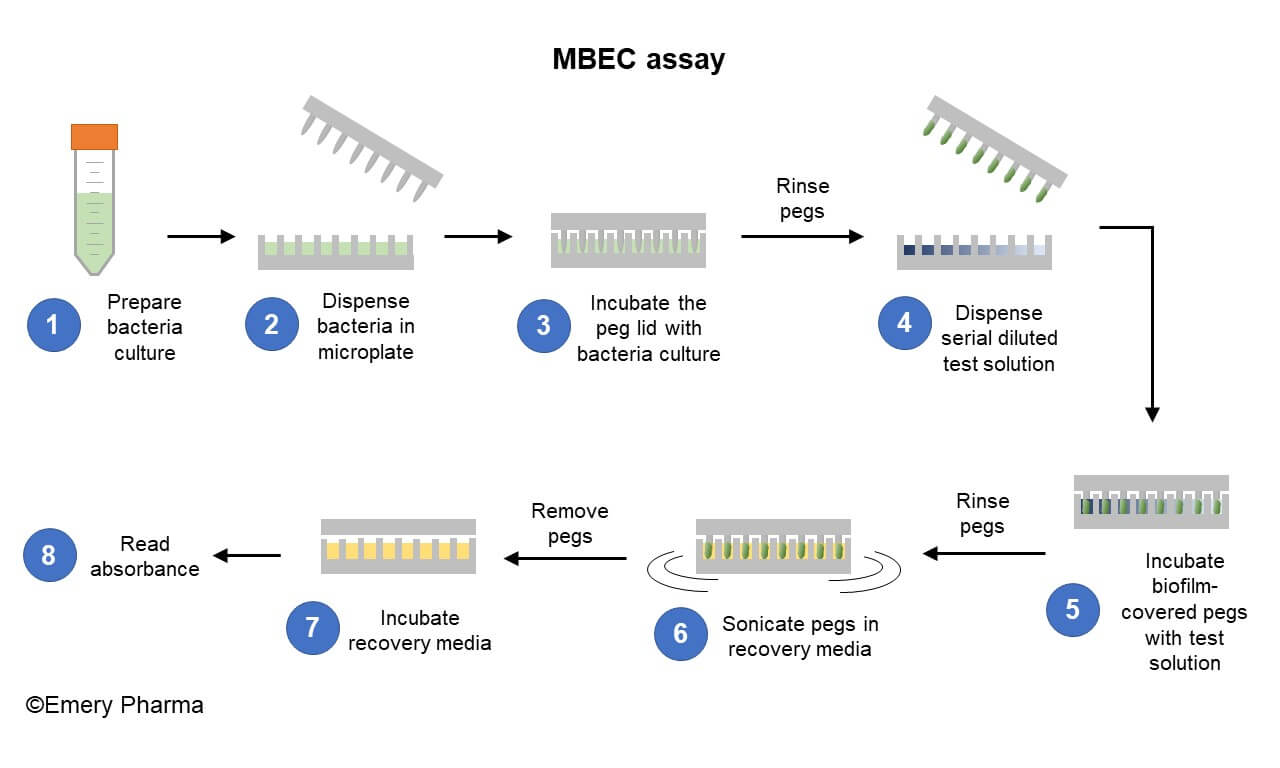 Biofilm Eradication Testing Emery Pharma