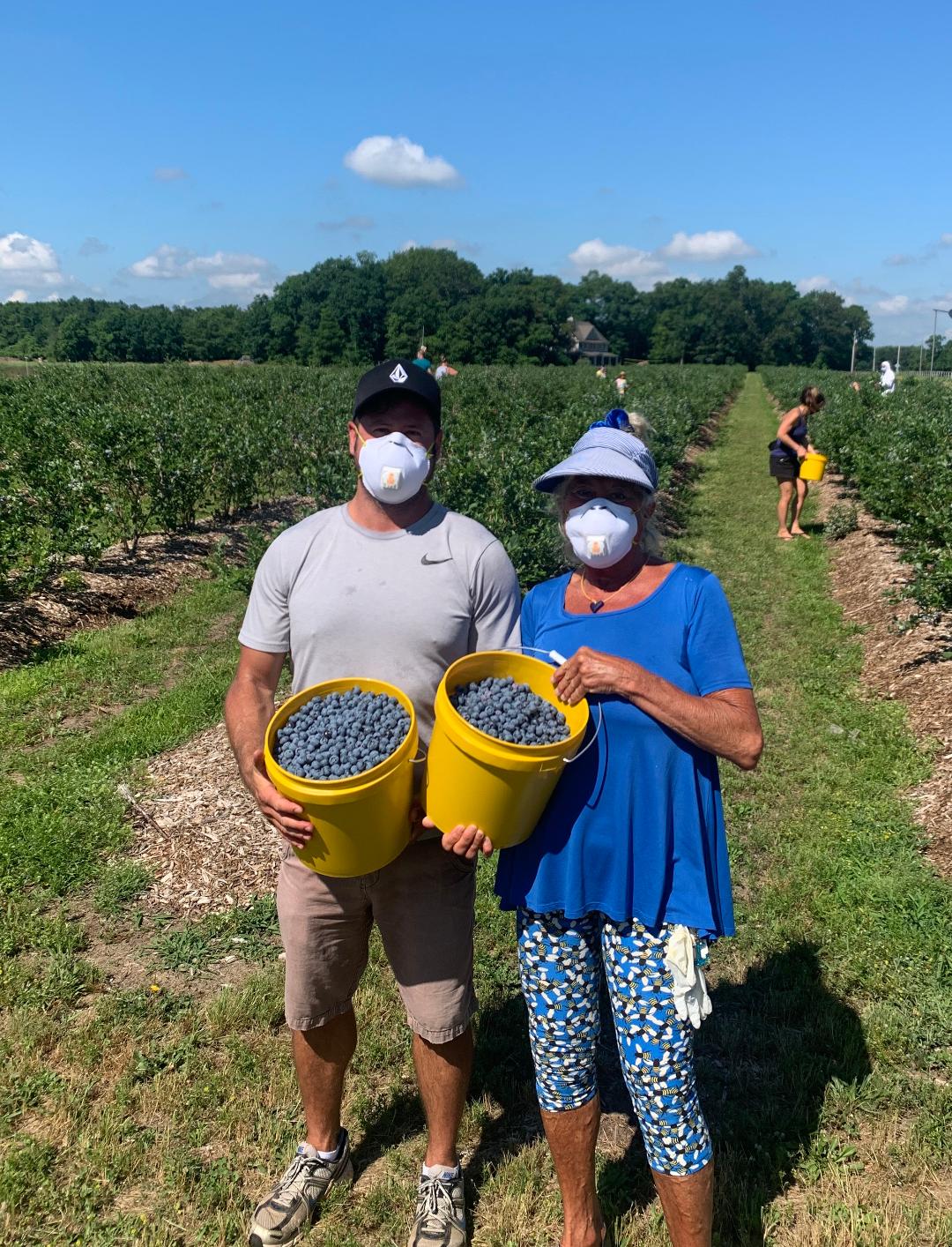 Emery's UPick Blueberry Farm & Country BakeryNew Egypt, NJ