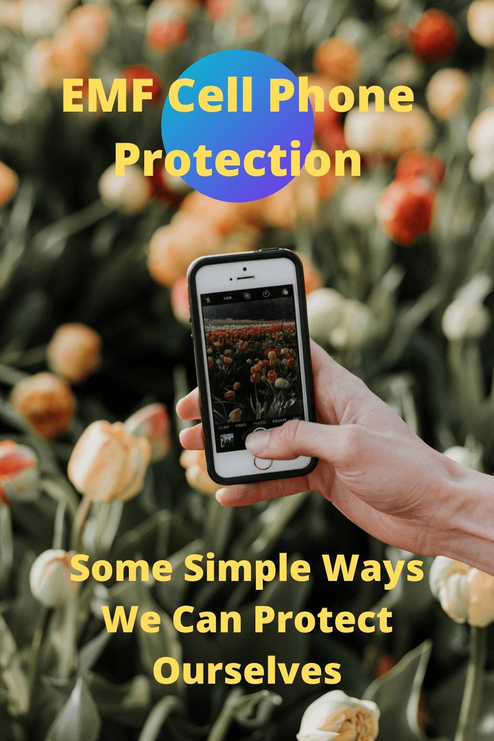 EMF Cell Phone Protection Some Simple Ways We Can Protect Ourselves(06)