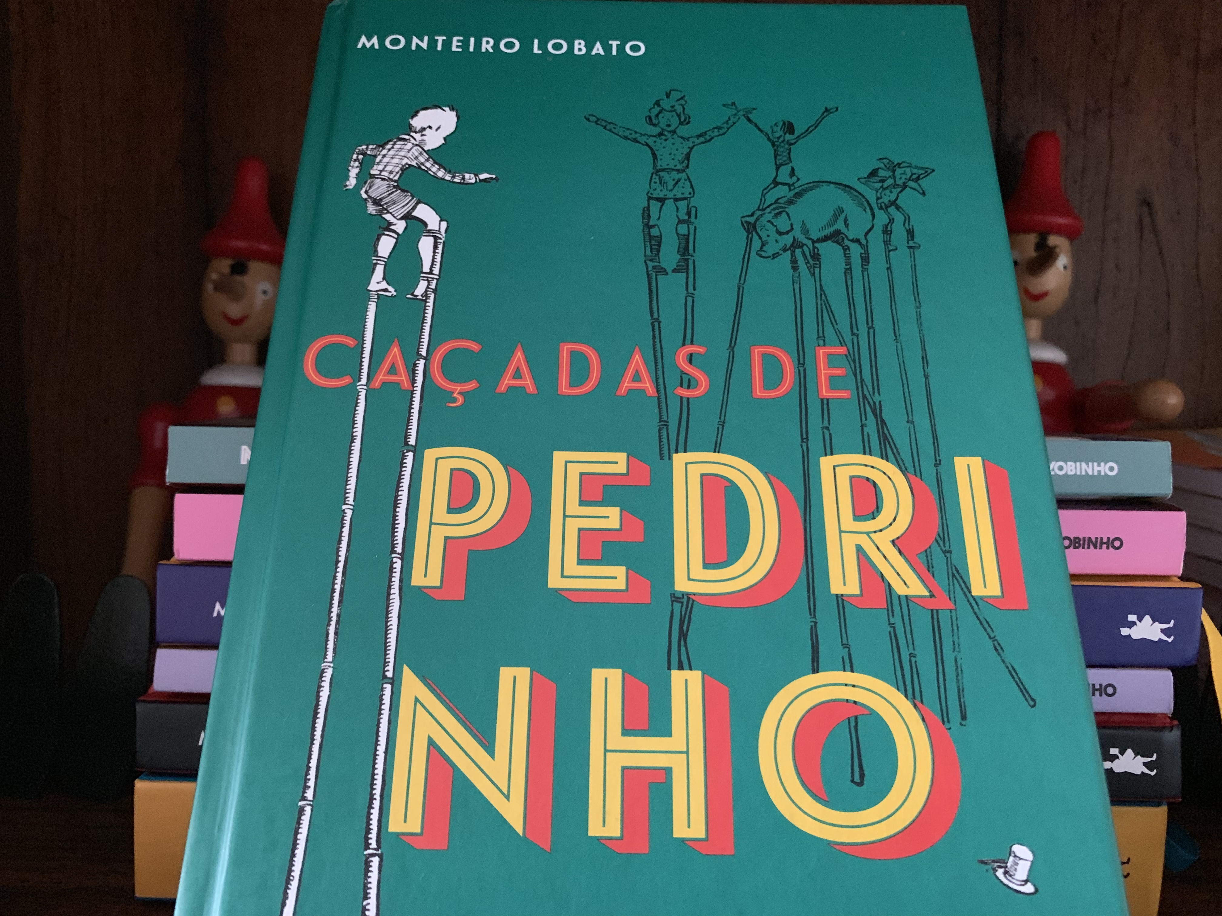Caçadas de Pedrinho Em Geral