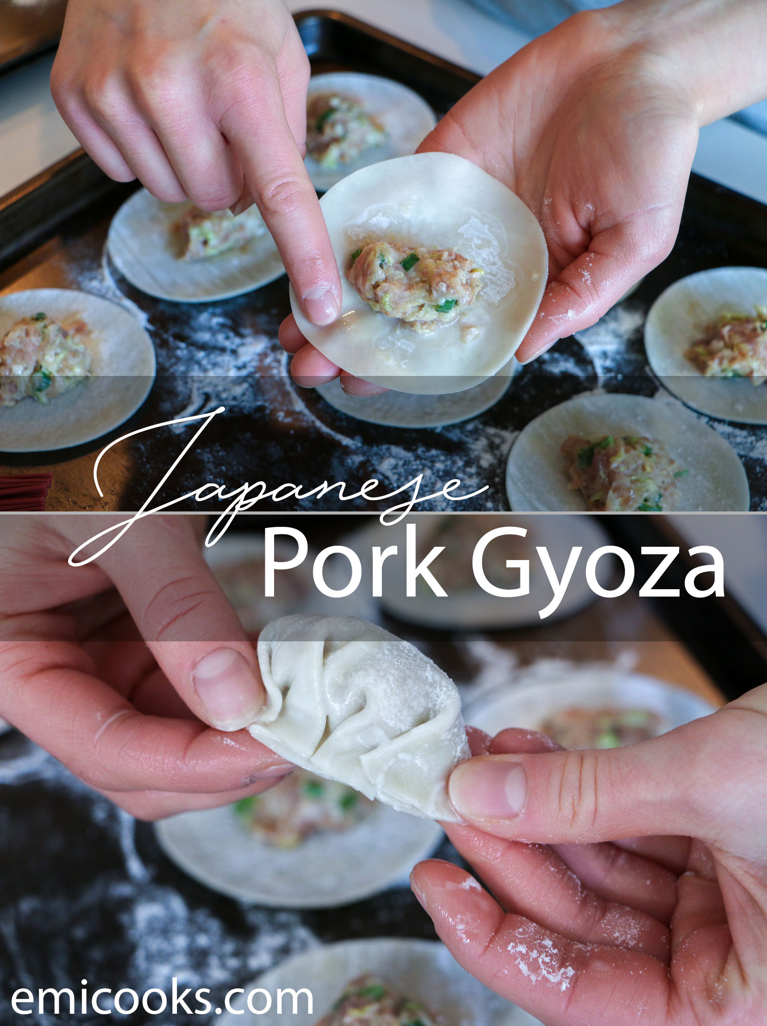 Japanese Pork Gyoza Emi Cooks