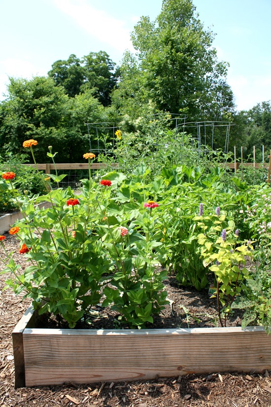 A Local Market & Community Garden Emily A. Clark