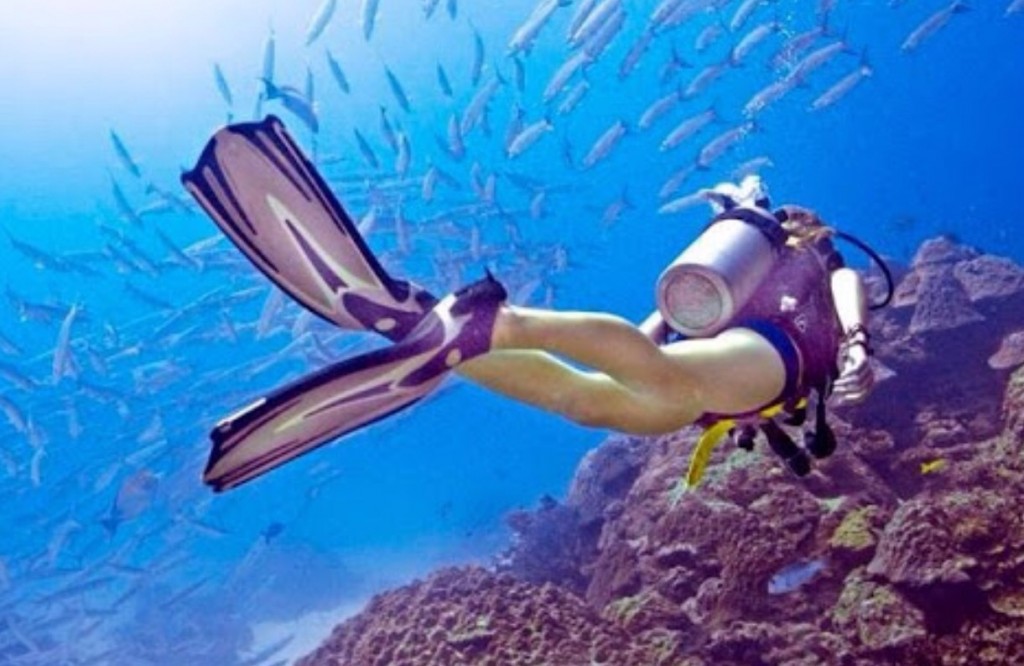 "Hey Em, I had a dream we were scuba diving!" Emily Hibard MPA
