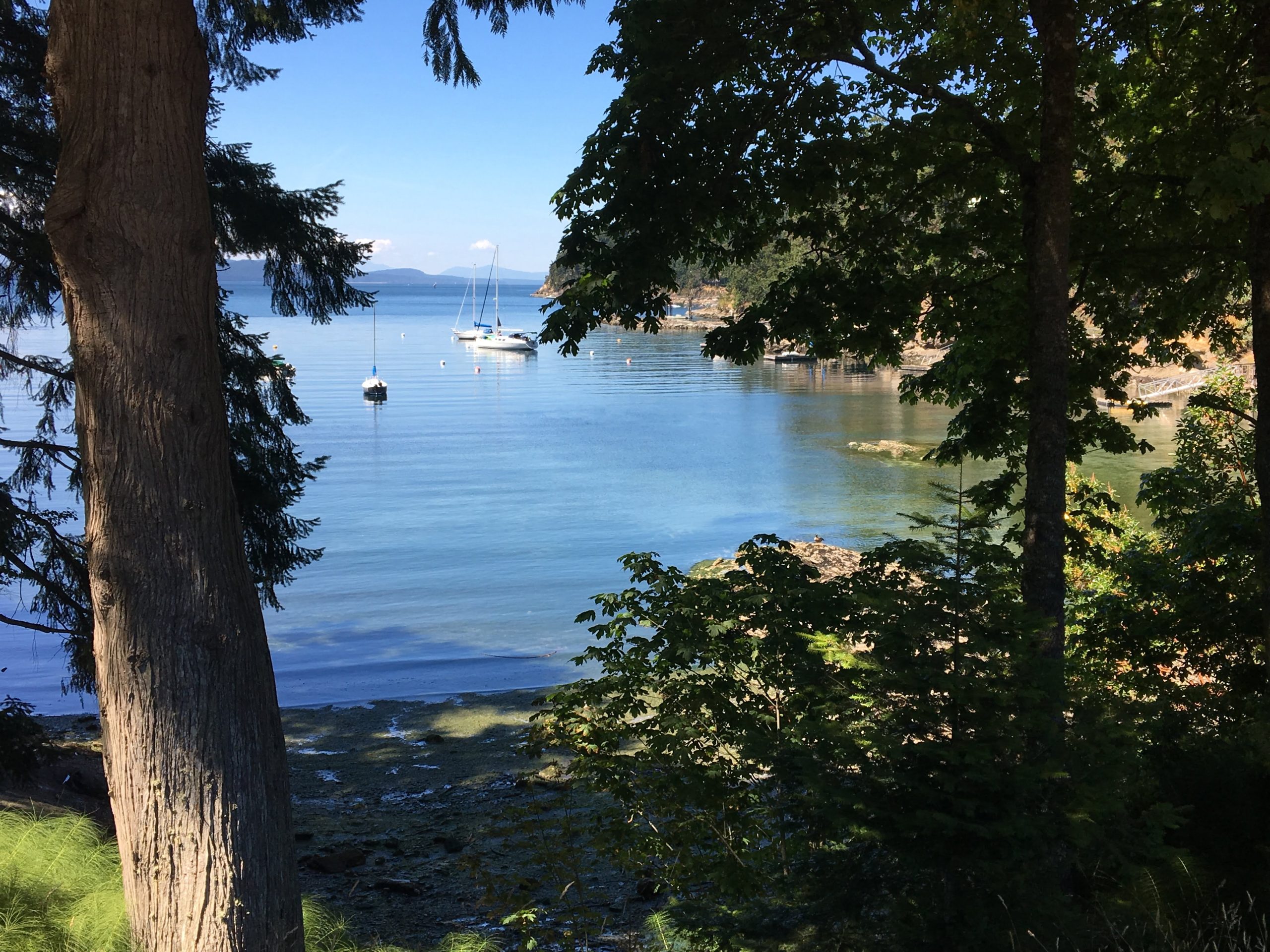 What I'm Packing for a Week on Mayne Island, BC Emily Lightly