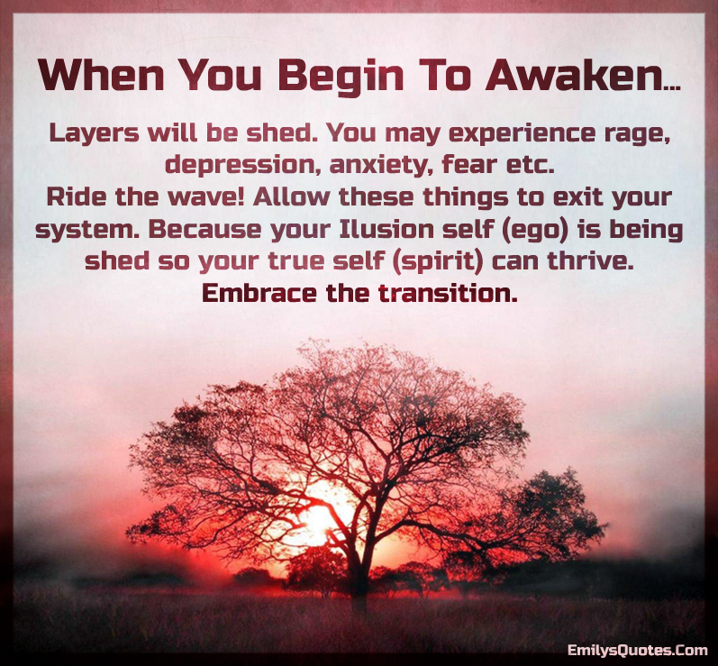 “When You Begin To Awaken Popular inspirational quotes at EmilysQuotes