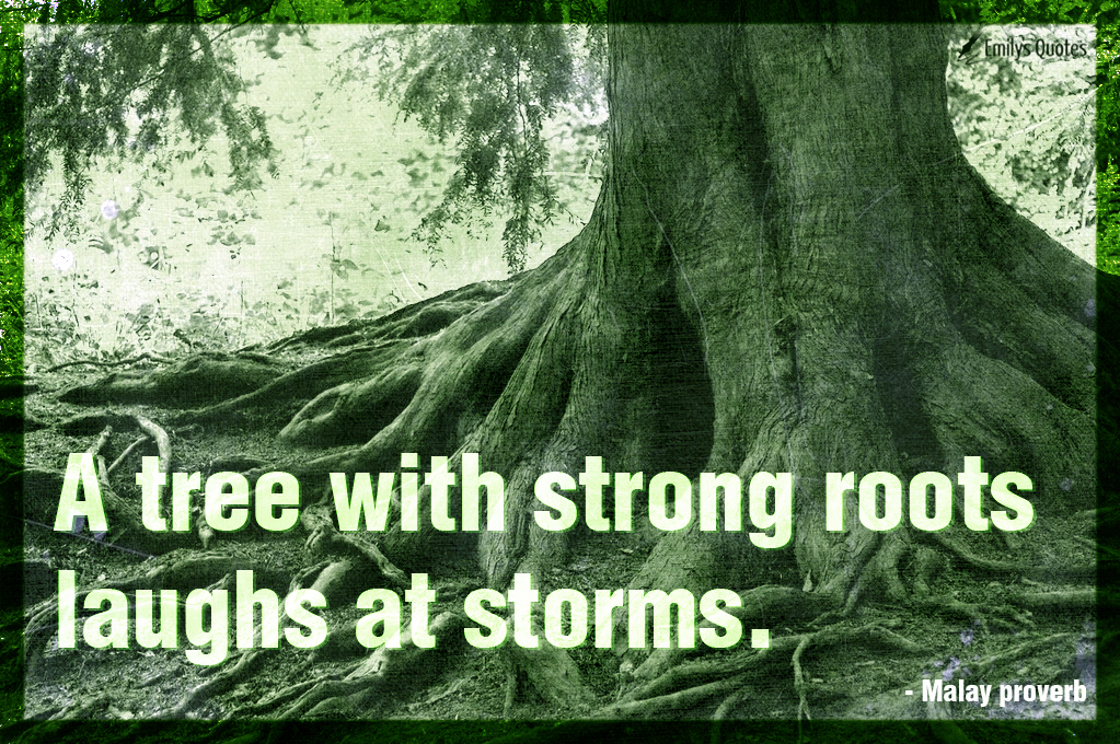 A tree with strong roots laughs at storms Popular inspirational