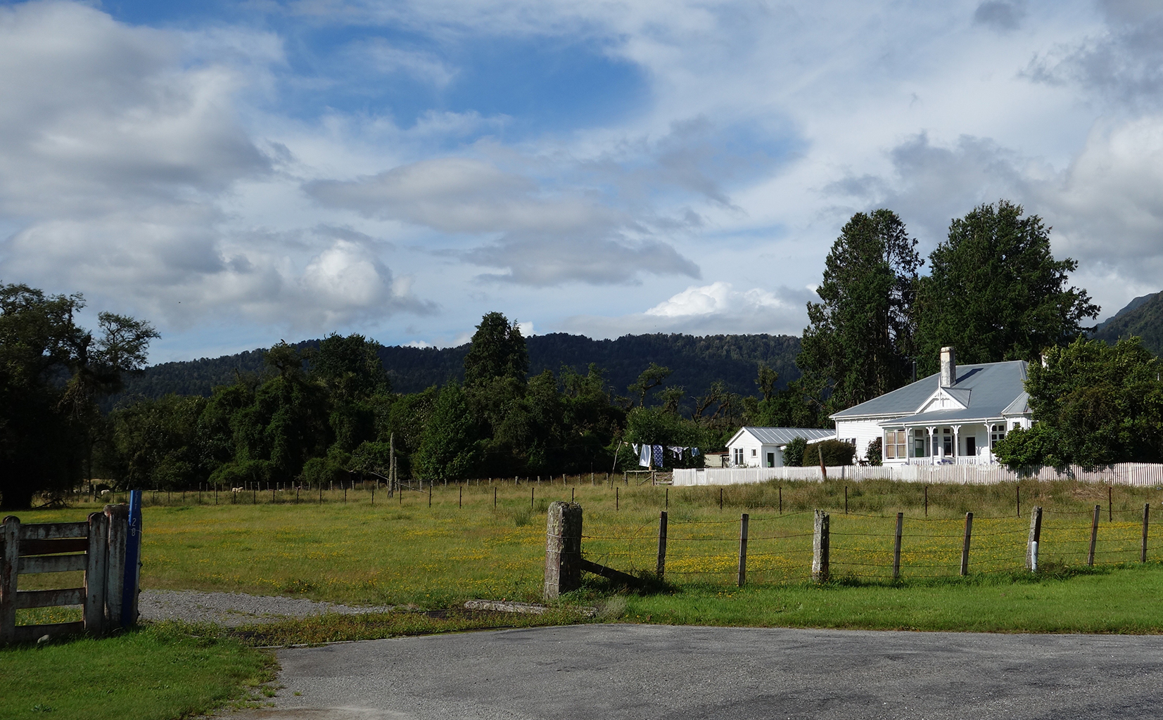 An Icy Exploration of Franz Josef and Fox Glaciers in New Zealand