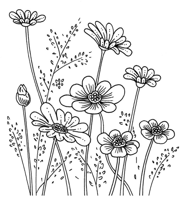 Flower Rubber Stamp Designs Penny Black Inc.