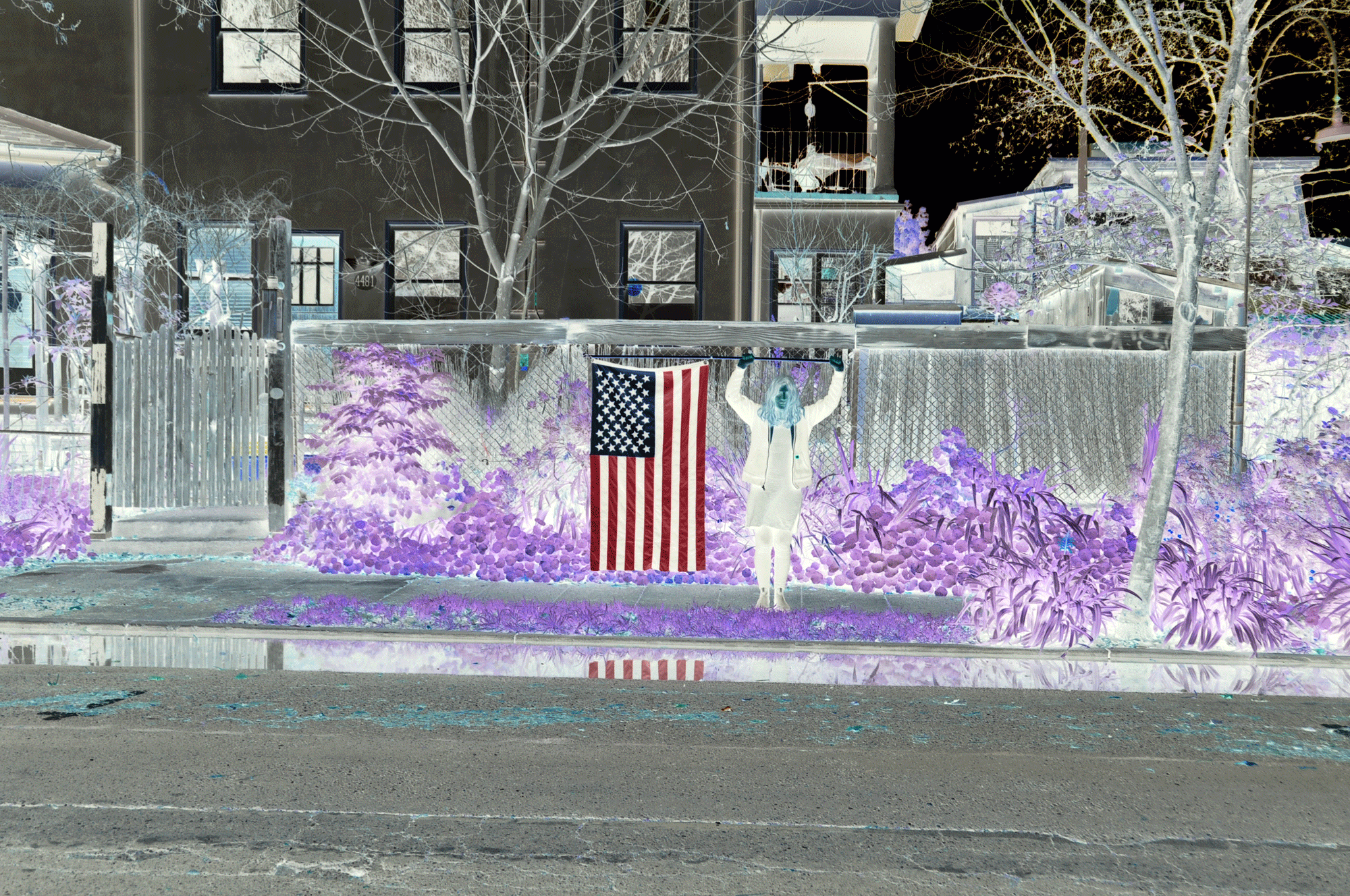 Reversing the American Flag Optical Illusion Learning How To See