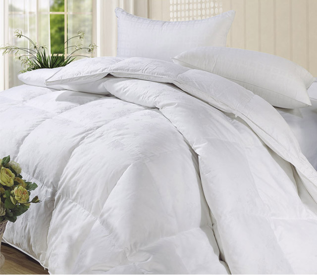 Duvet Inner Buy Online South Africa at Ashley Solley blog