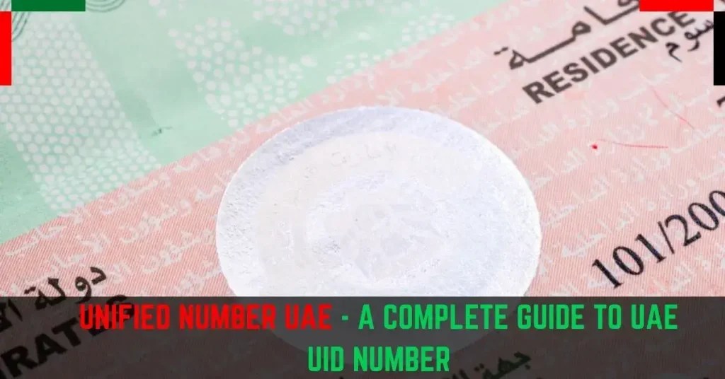 Unified Number UAE Your Guide To UAE UID Number in 2024
