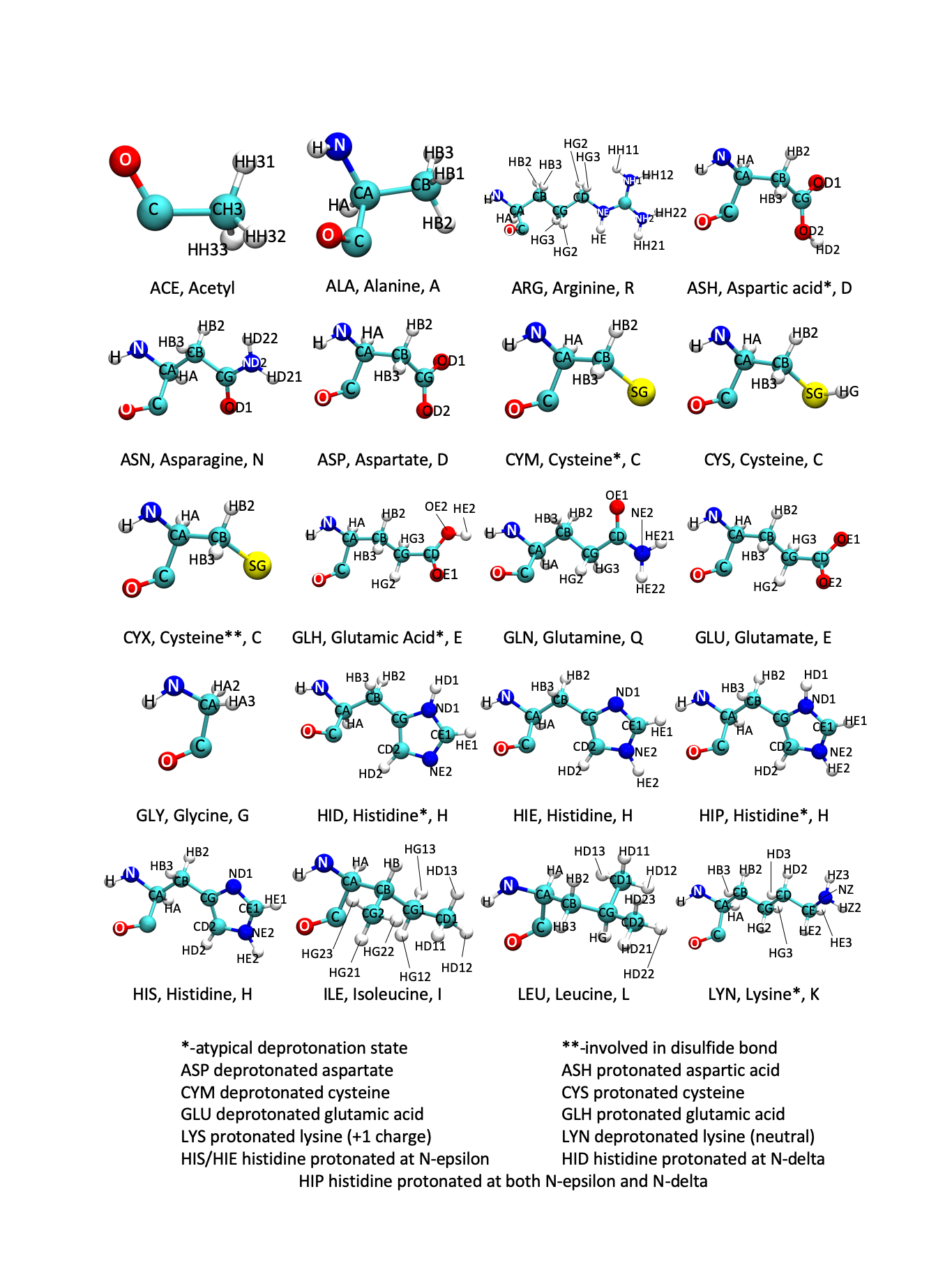 Amino Acids and DNA and RNA Bases Computational Chemistry Resources