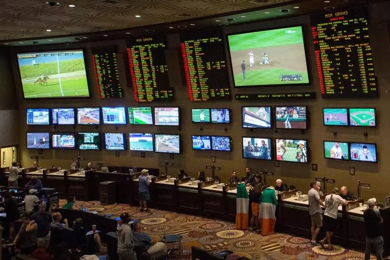 Own Sports Betting Stats Verifiers Emlii