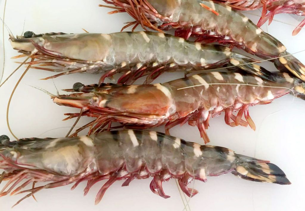 Grilled Jumbo Shrimp with Lime Butter Sauce Emma Eats & Explores