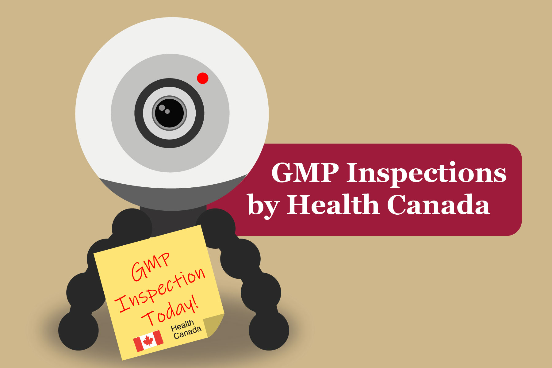 GMP Inspections by Health Canada EMMA International