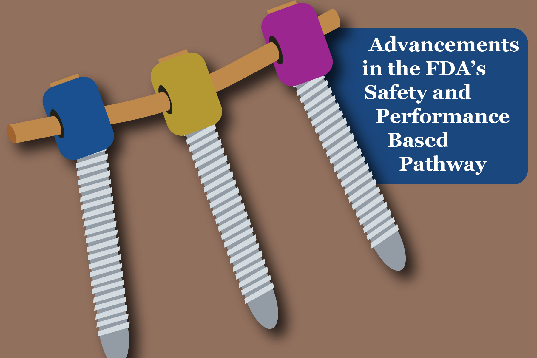 Advancements in the FDA’s Safety and Performance Based Pathway EMMA