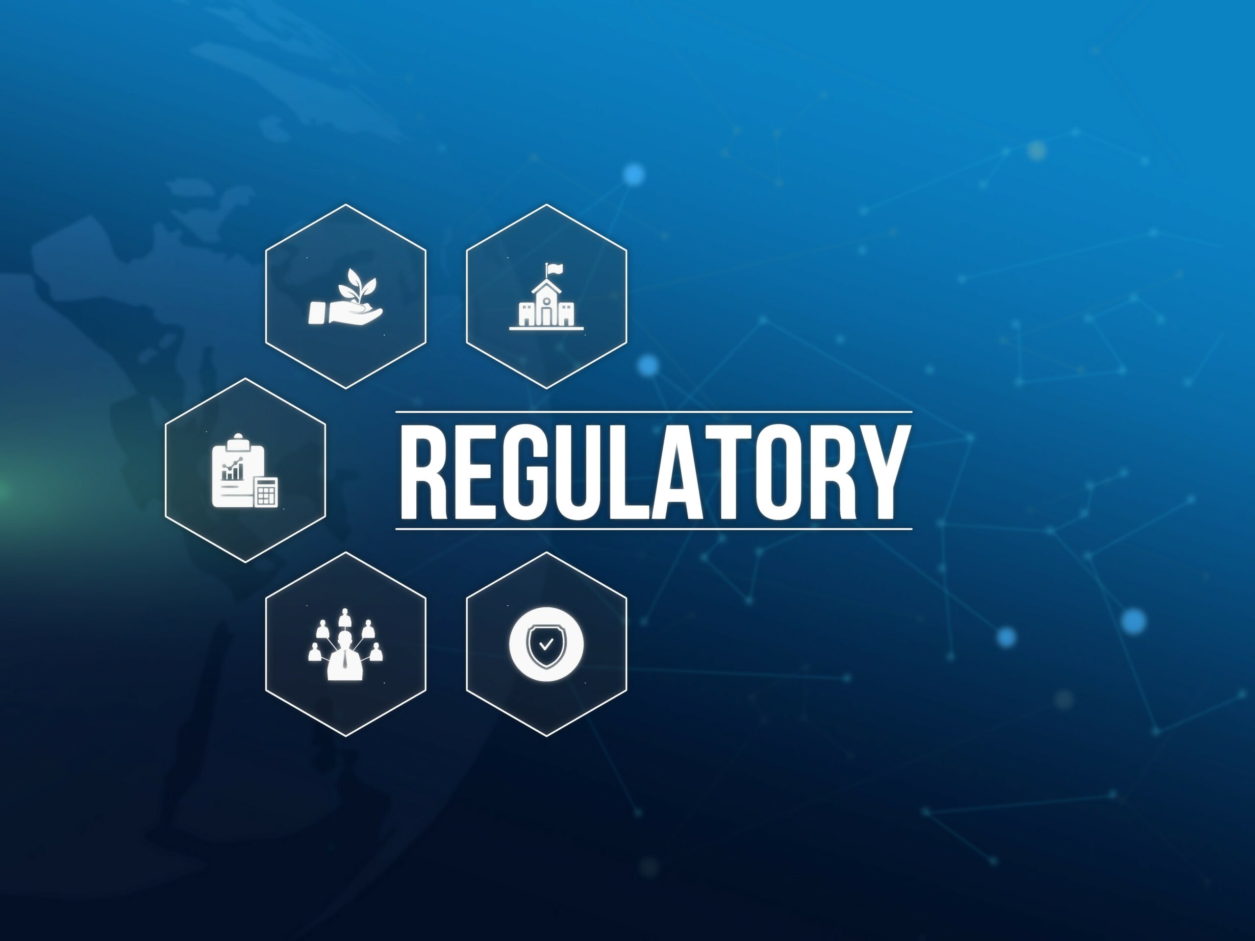When Regulations Fail Solutions for Individuals and Businesses