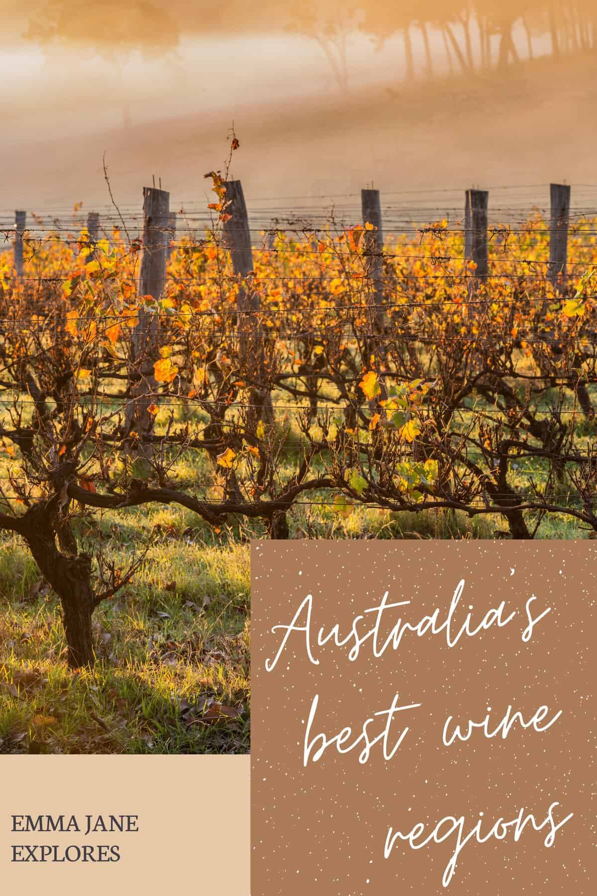 Australian Wine Regions Guide Emma Jane Explores