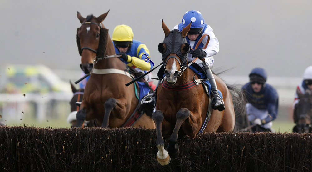 Emma Lavelle Racing National Hunt Trainer Racehorse Training Race Horse Trainers