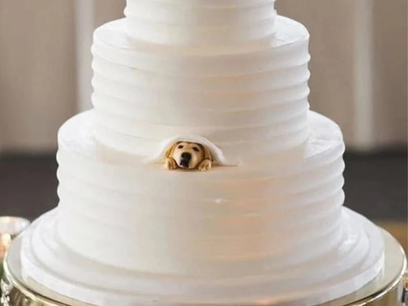 75 (Fun!) + Unique Wedding Cake Toppers to Top Them All 2023