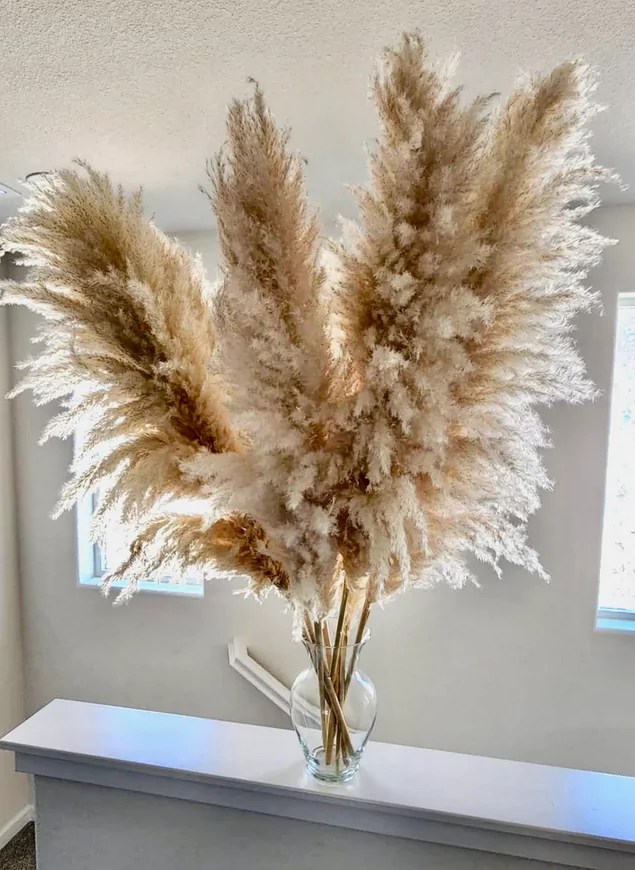 The Best Places to Buy Pampas Grass for Weddings Emmaline Bride