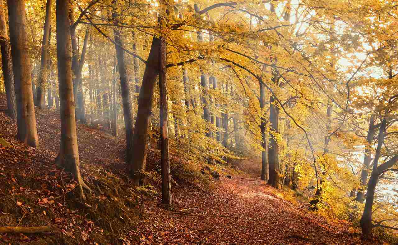 Months & Seasons In German [& How To Use Them] – Emma Loves German