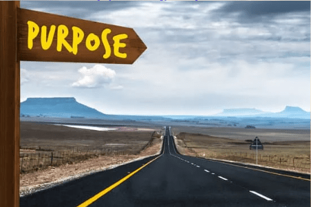 How to find your purpose in life - The Optimal Performance Coach