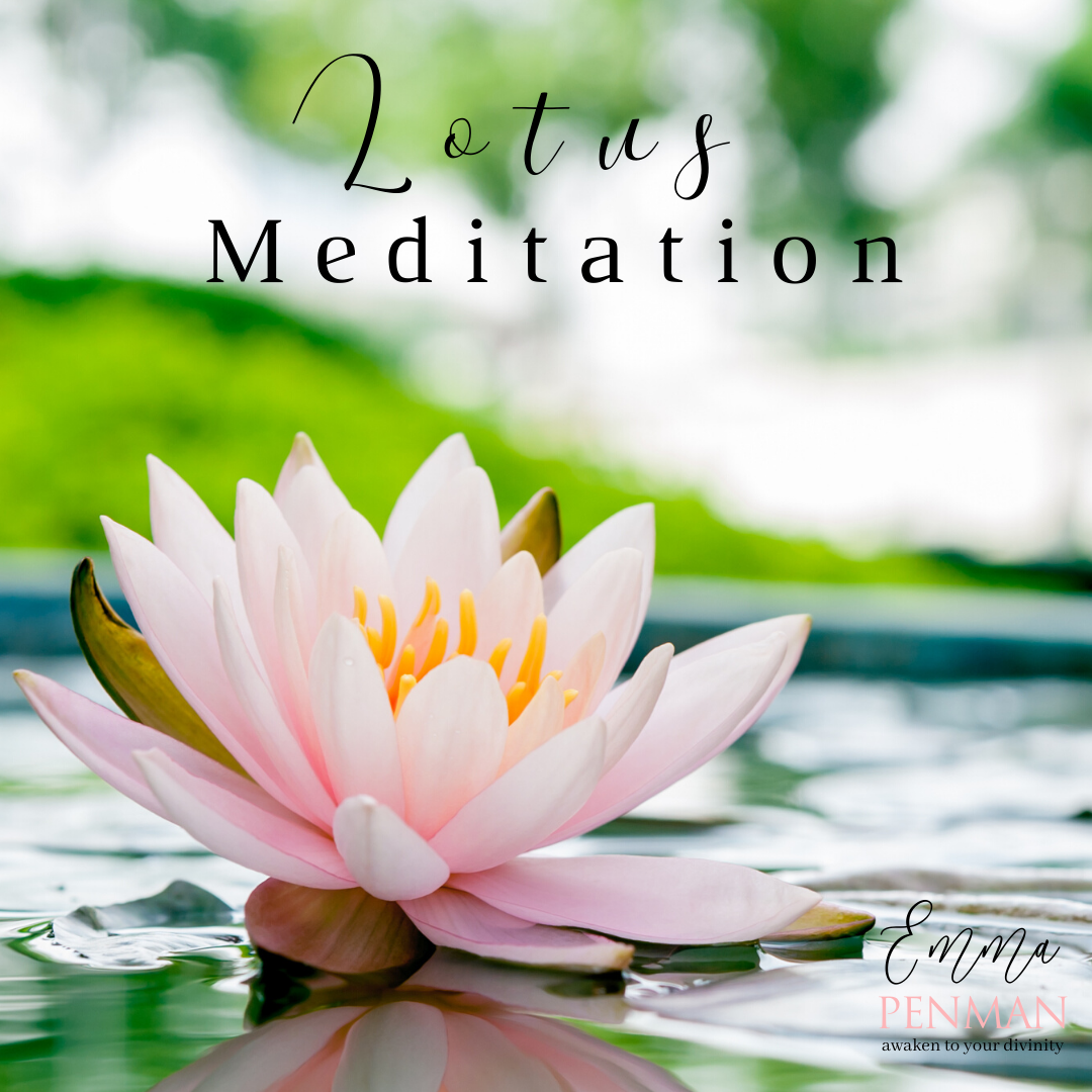 Lotus Flower Meditation Emma Penman