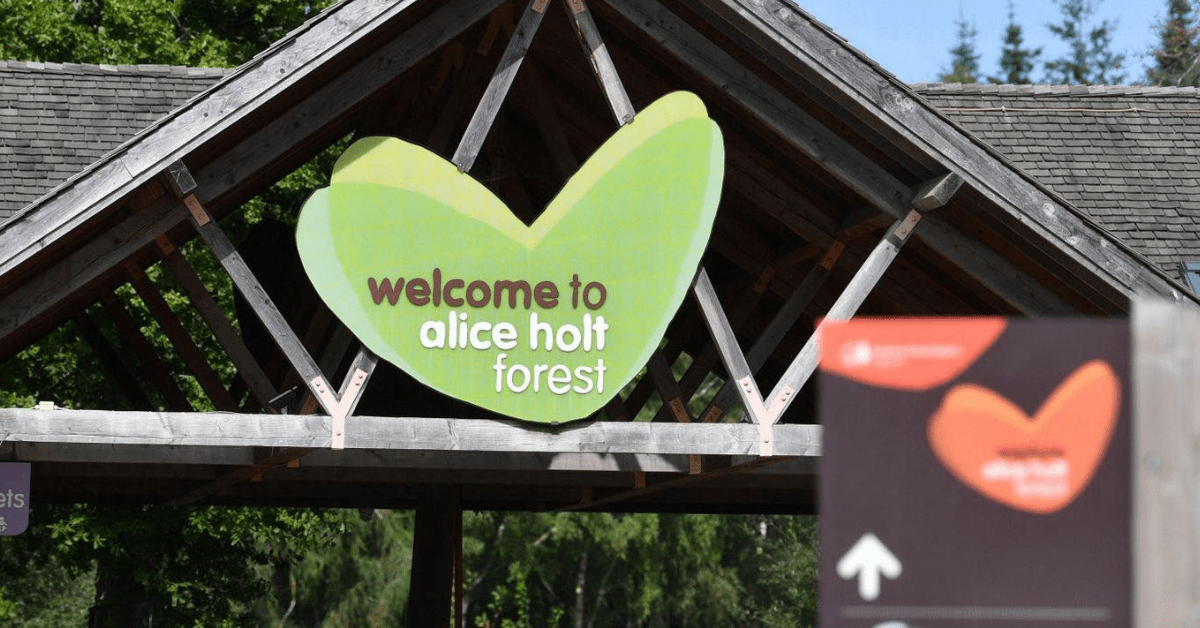 Visiting Alice Holt Forest, Hampshire Emma Reed