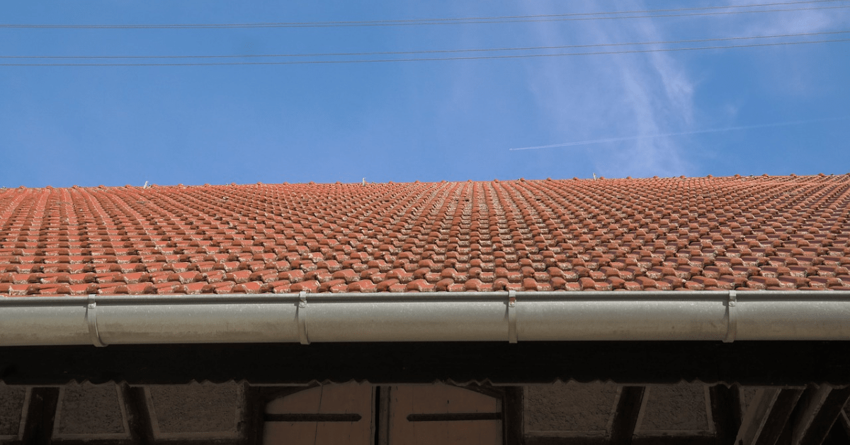 How Often Should You Schedule Professional Gutter Cleaning? Emma Reed