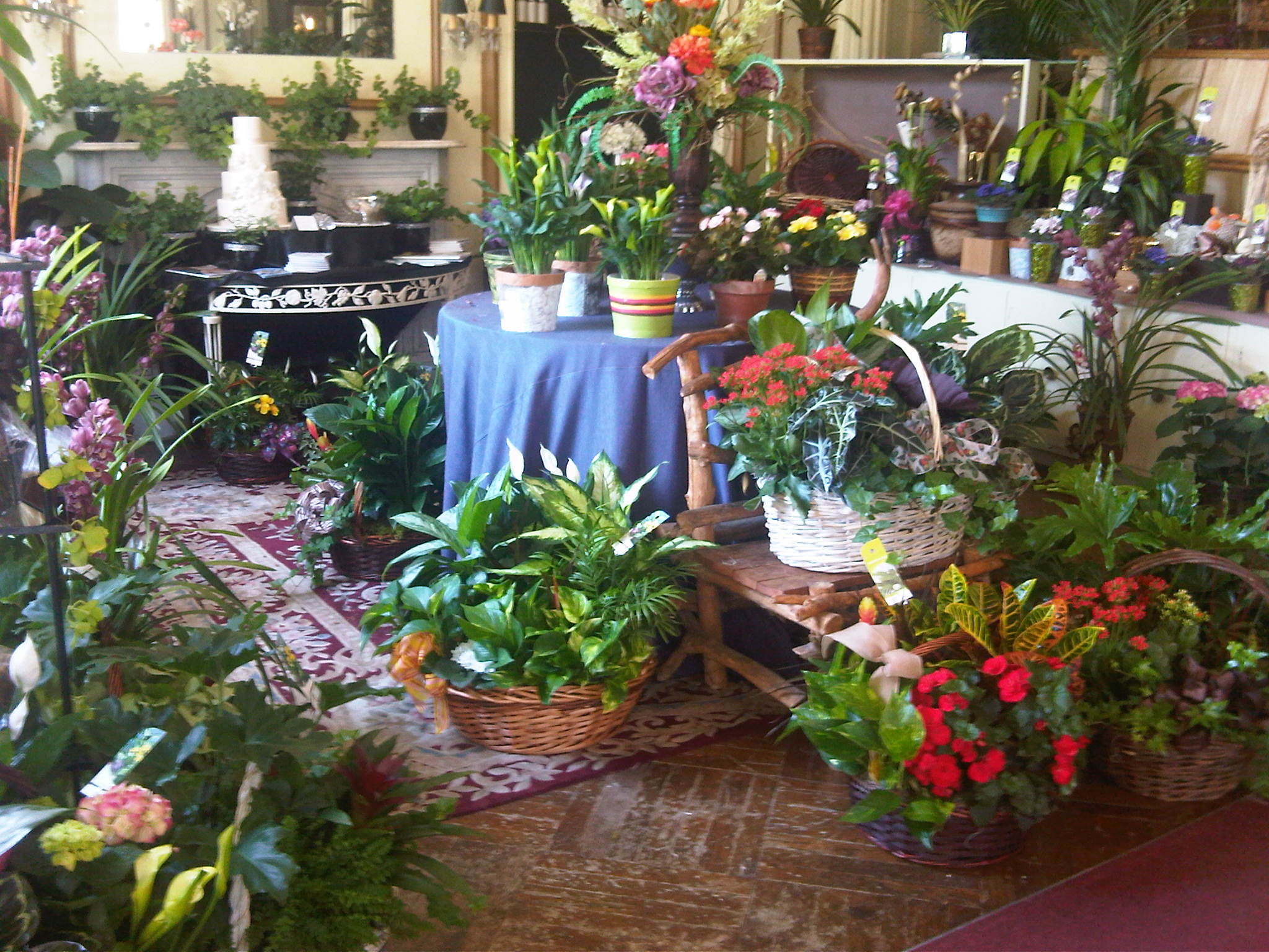 Emma's Flowers & Gifts The Superlative Florist!