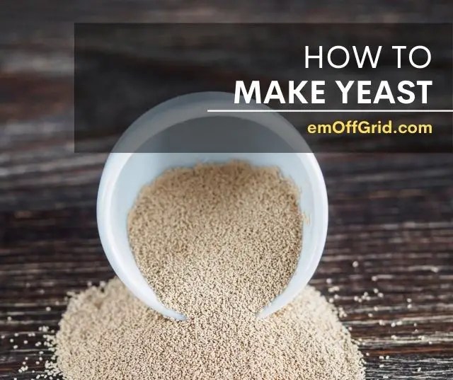 How to Make Yeast