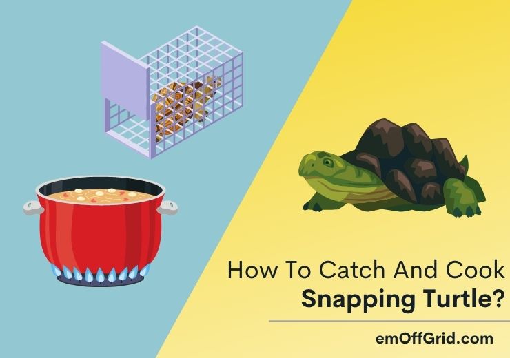 How to Catch And Cook Snapping Turtles