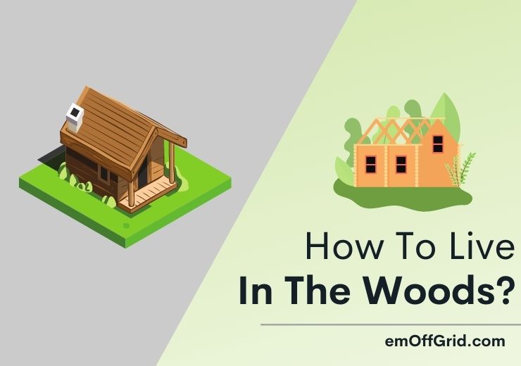 6 Easy Basic Steps To Live In The Woods