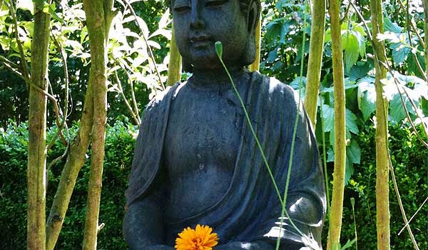 Seele Archive Emotionale Hilfe Hajo Walckenhorst