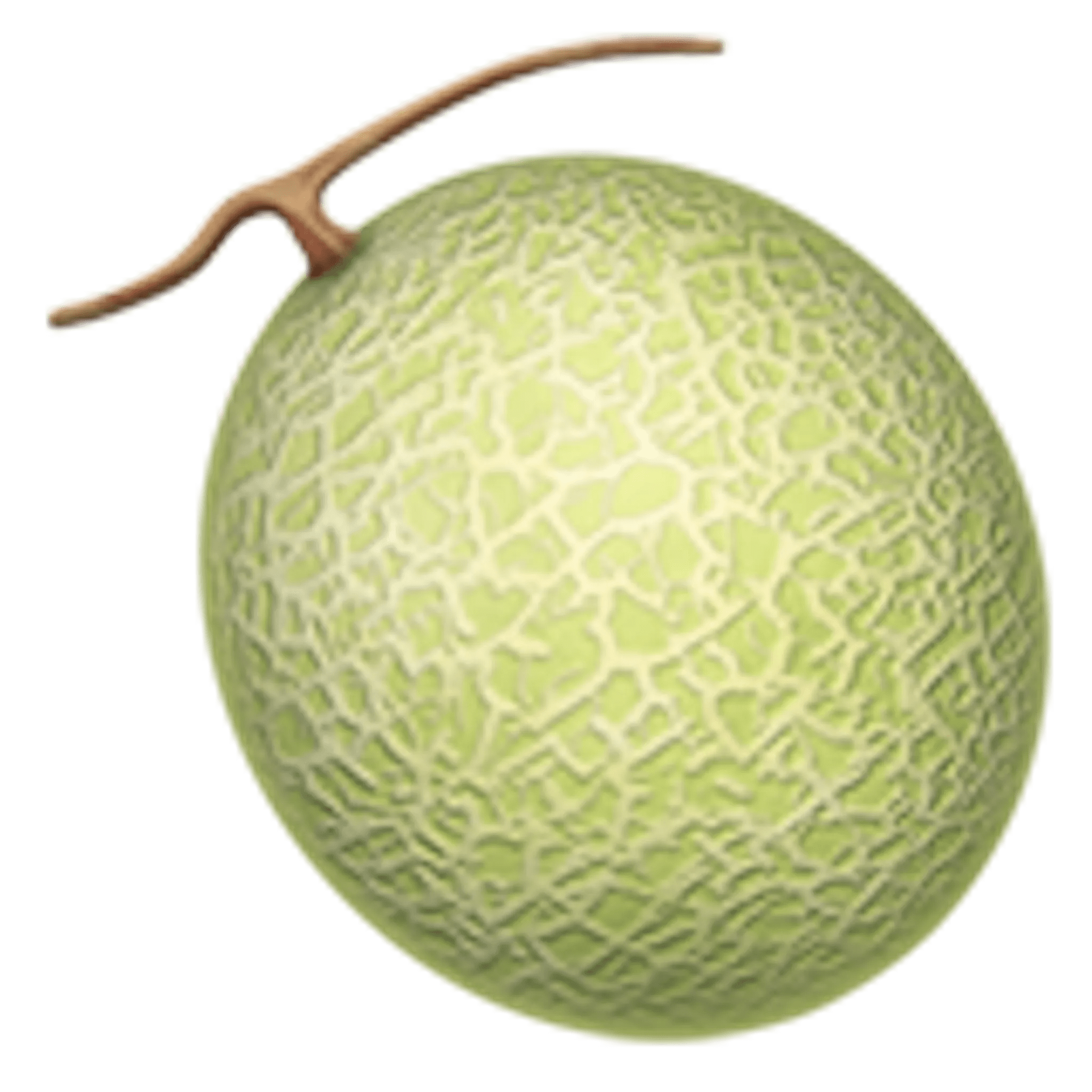 🍈 Melon Emoji Copy Paste 🍈