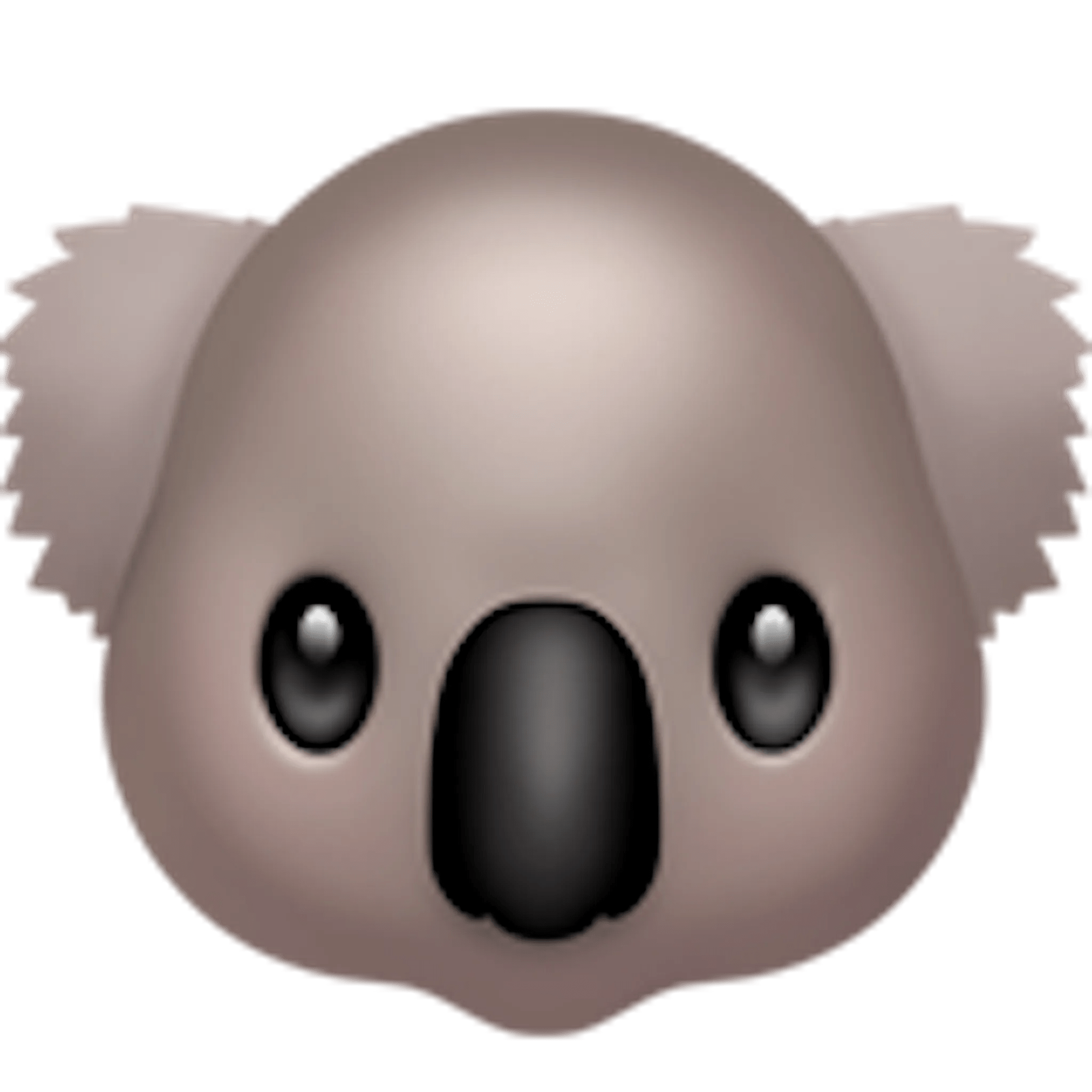 🐨 Koala Emoji Kopírovat Vložit 🐨