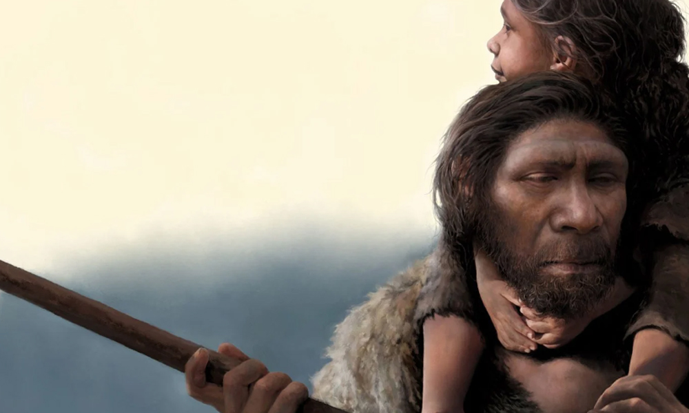 From Simple Organisms to Wise Humans The Journey of Human Evolution Tree